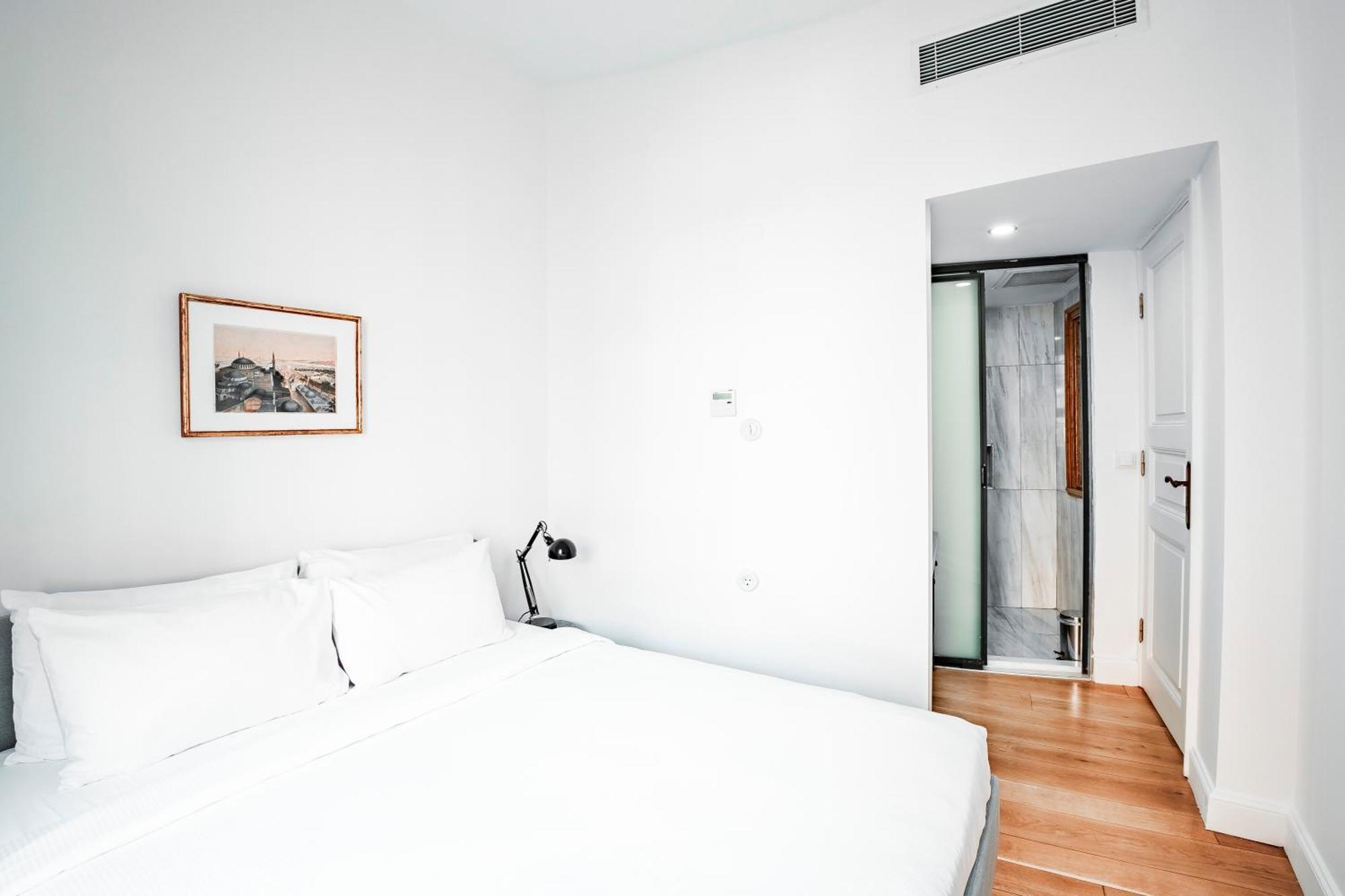 Homie Suites - Historical Apartment Nearby Galata Tower Istanbul Rum bild